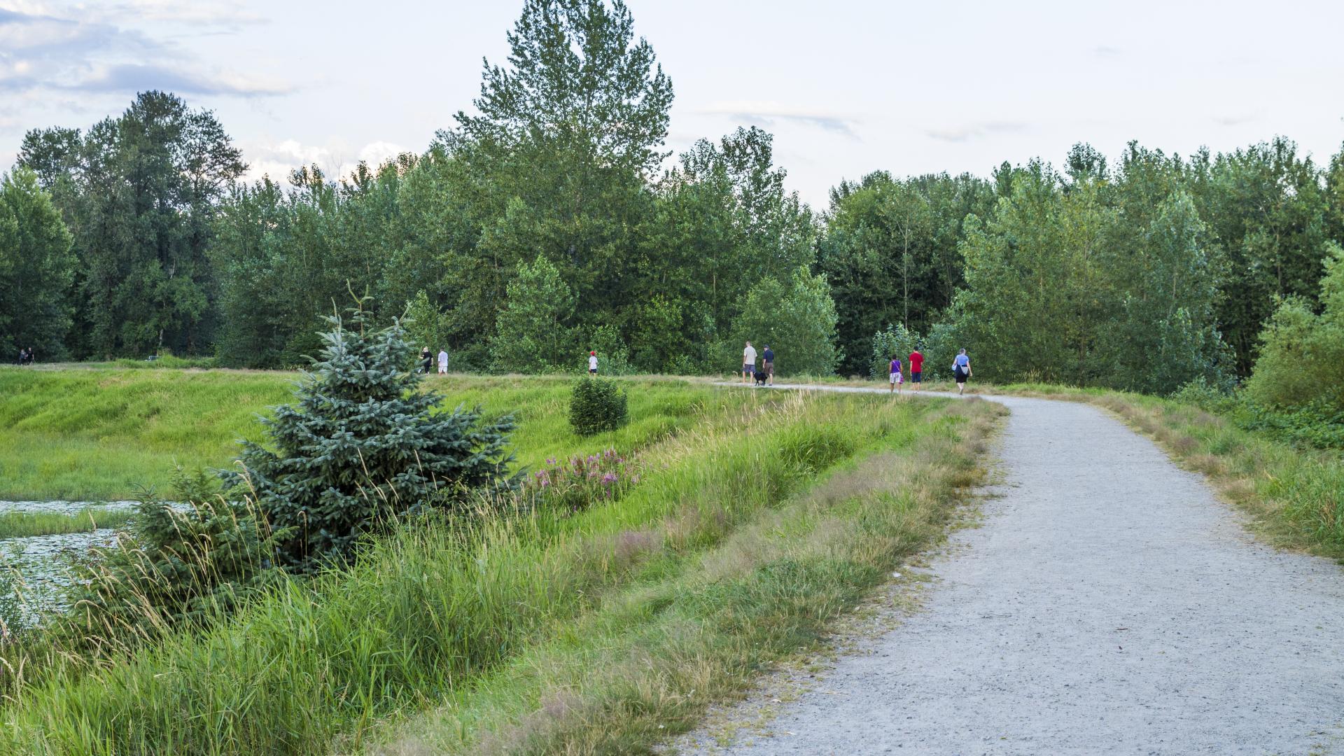 A paved pathway curves to the left. In the distance, runners are using the path.